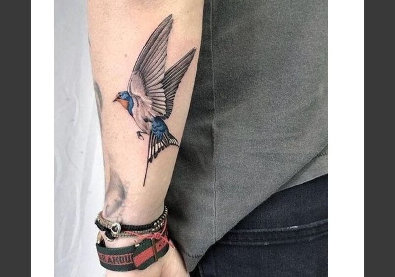 Tatuagem masculina aves